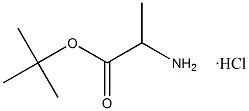 Tert-Butyl L-alaninehydrochloride CAS. 13404-22-3 Wit tot wit poeder zuiverheid 98% Smeltpunt 168-175 °C