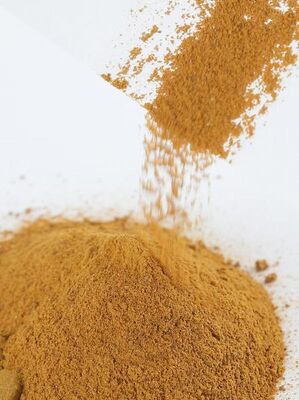 Polydihydroxyindol ̊melamine