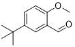 5-Tert-butyl-2-OMebenzaldehyde
